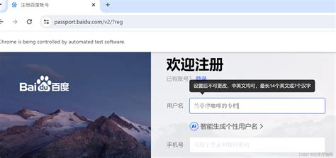 passport baidu overseas